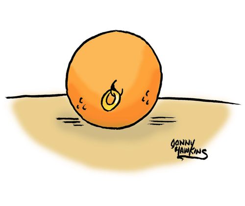 Orange navel has ring