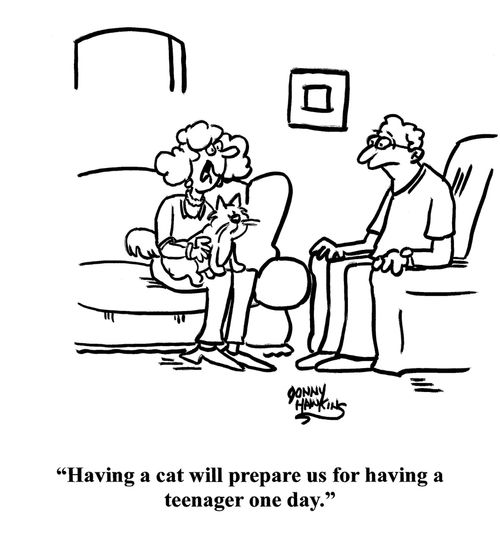 "Having a cat will prepare us for having a teenager one day."