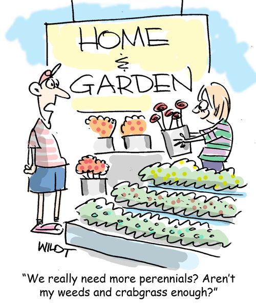 "We really need more perennials? Aren't my weeds and crabgrass enough?"