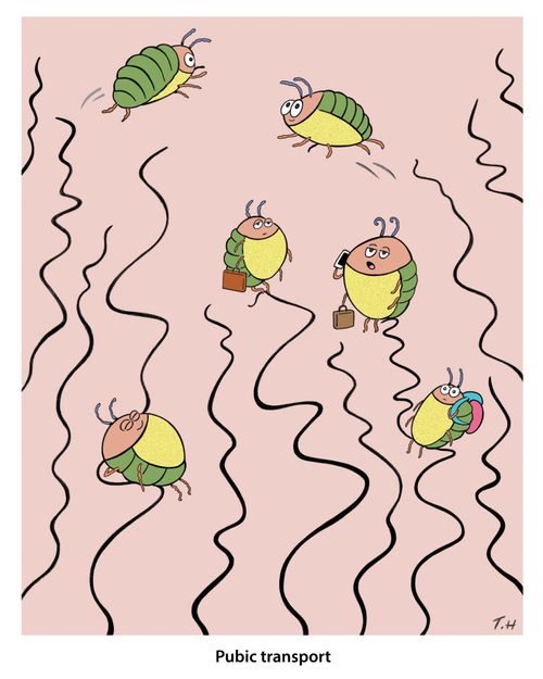 Pubic transport