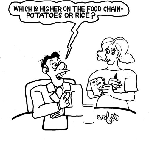 "Which is higher on the food chain - potatoes or rice?"