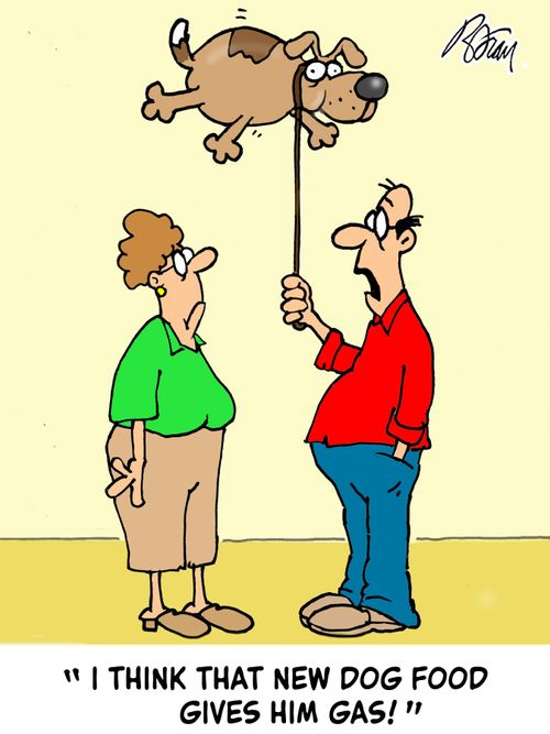 "I think that new dog food gives him gas!"