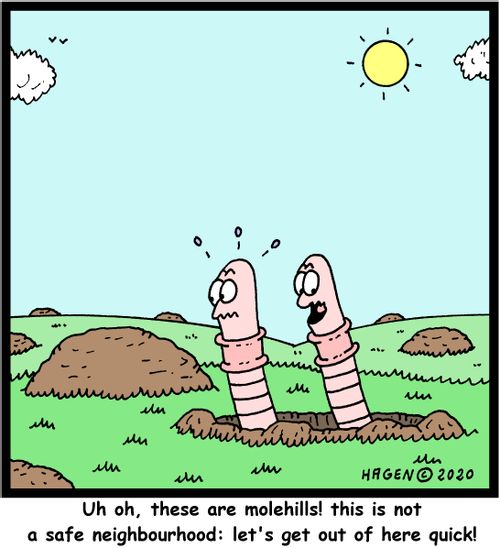 "Uh oh, these are molehills! This is not a safe neighbourhood: let's get out of here quick!"