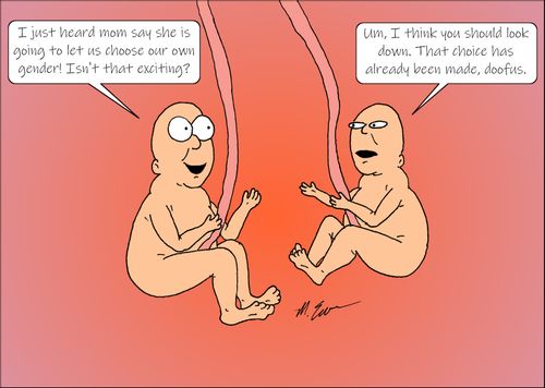 "I just heard mom say she is going to let us choose our own gender! Isn't that exciting?"