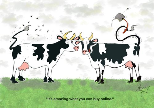 "It's amazing what you can buy online."