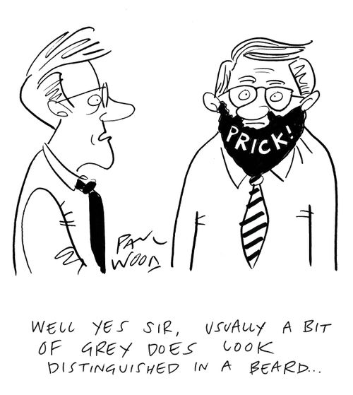 "Well yes sit, usually a bit of grey does look distinguished in a beard. . ."