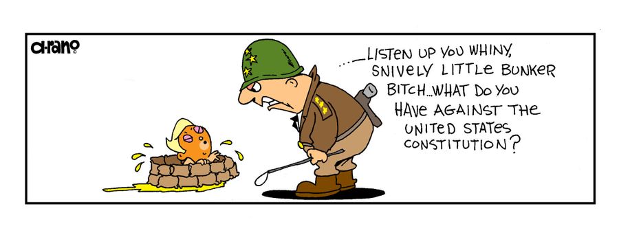 "Listen up you whiny, snively little bunker b***h. What do you have against the United States constitution?"