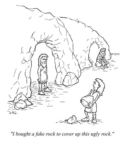 "I bought a fake rock to cover up this ugly rock."