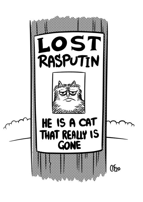 Lost Rasputin: He is a cat that really is gone.