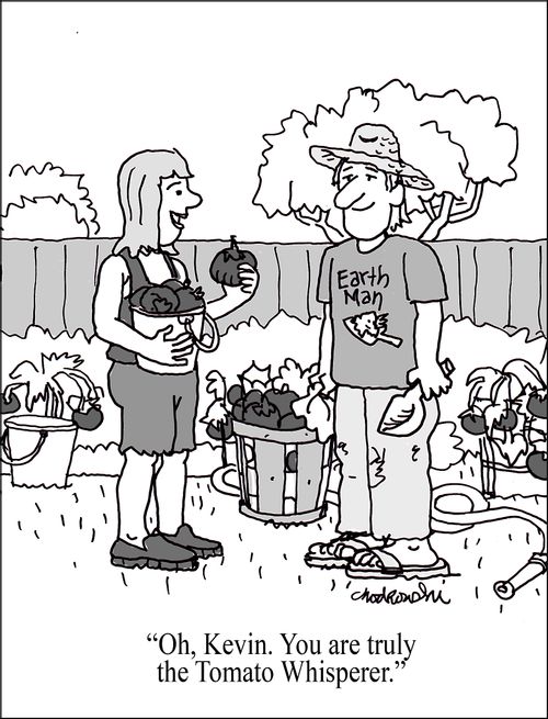 "Oh, Kevin. You are truly the Tomato Whisperer."