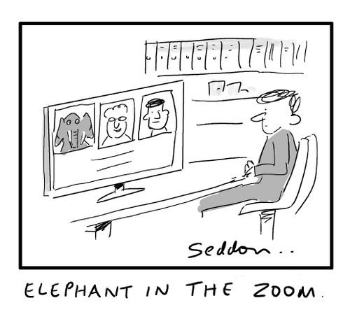 Elephant in the zoom