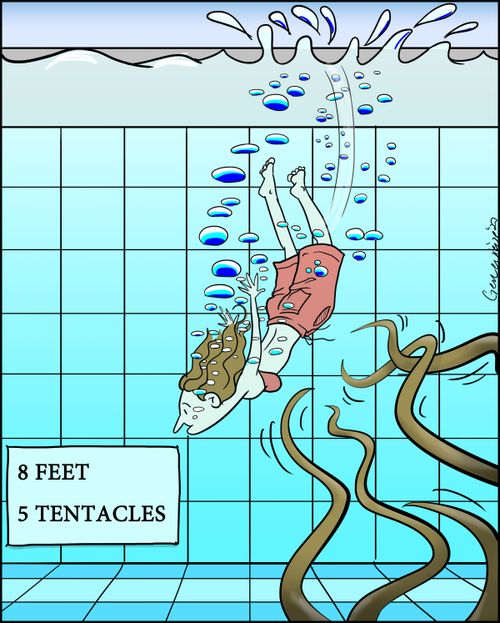 8 Feet. 5 Tentacles.