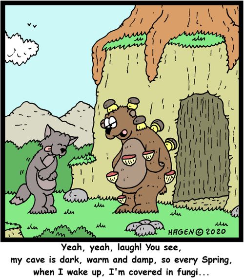 "Yeah, yeah, laugh! You see, my cave is dark, warm and damp, so every Spring, when I wake up, I'm covered in fungi..."