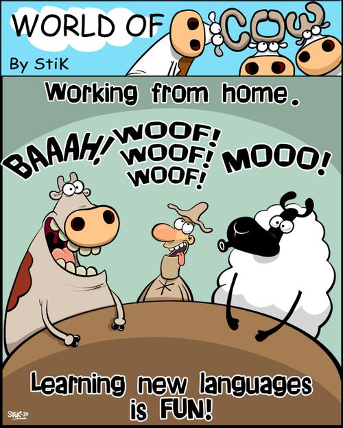 Working from home. . . Learning new languages is fun!