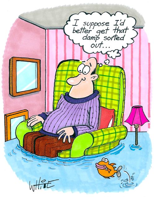 "I suppose I'd better get that damp sorted out. . ."