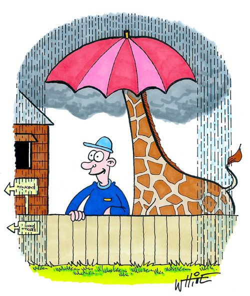 Giraffe Umbrella...