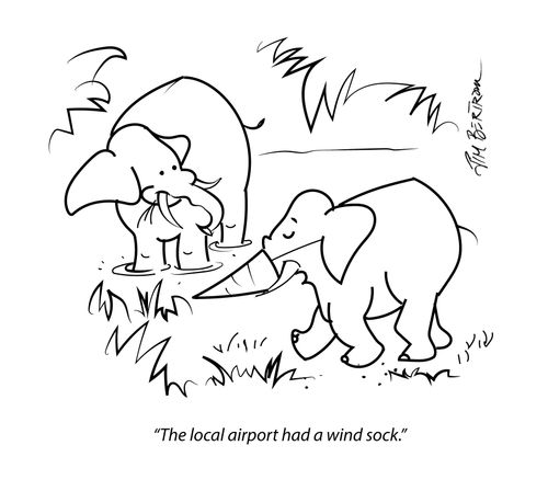 "The local airport had a wind sock."