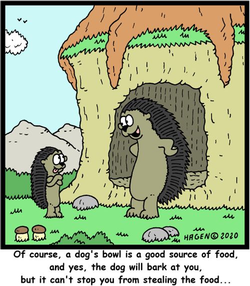 "Of course, a dog's bowl is a good source of food, and yes, the dog will bark at you but it can't stop you from stealing the food..."