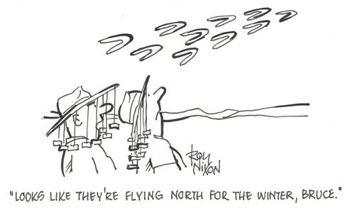 "Looks like they're flying north for the winter, Bruce." 