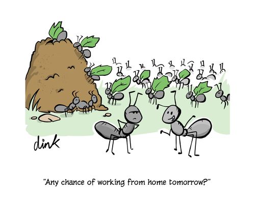 "Any chance of working from home tomorrow?" 