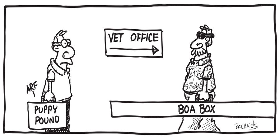 Boa Box
