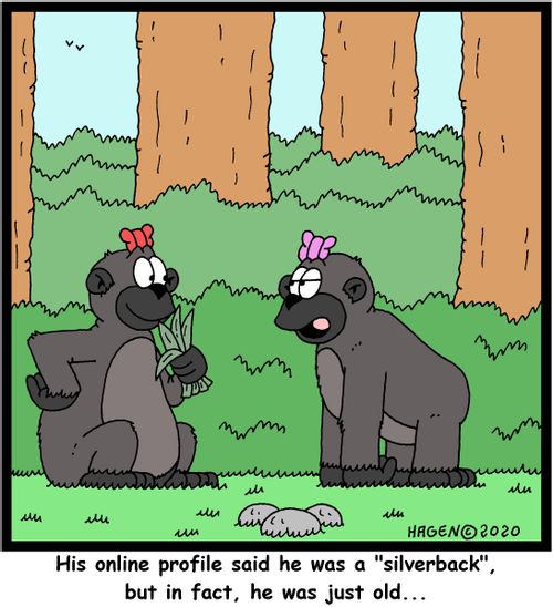 "His online profile said he was a "silverback", but in fact, he was just old..."