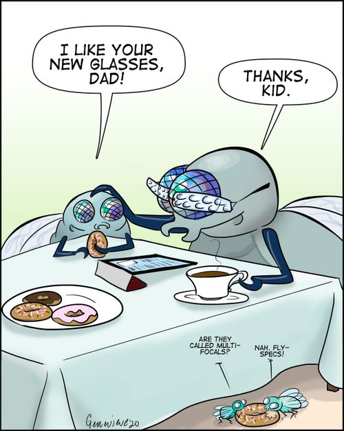 "I like your new glasses, Dad!"