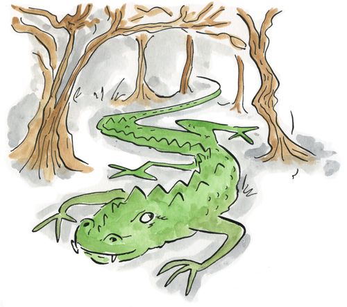 Dragon
