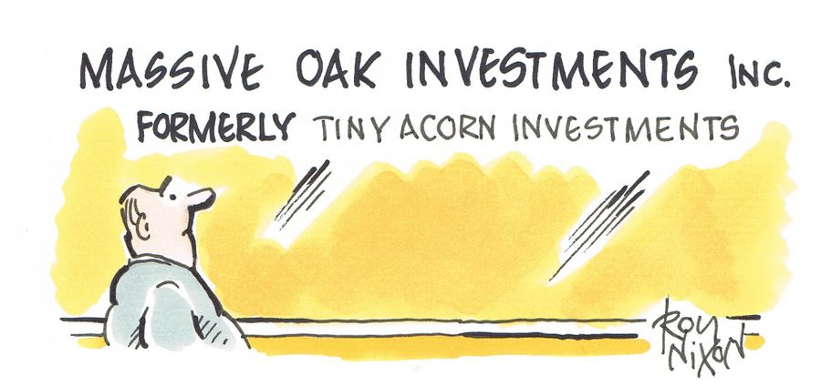 Massive Oak Investments inc.