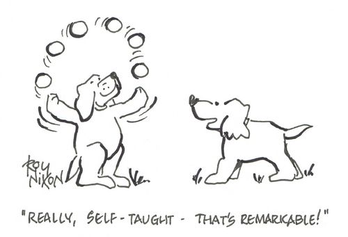 "Really, self-taught - that's remarkable!"