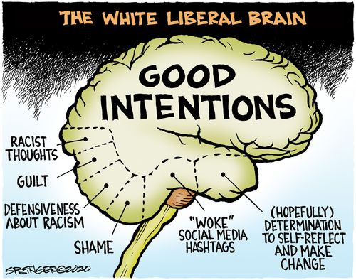 The white liberal brain