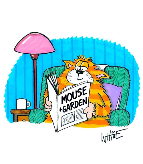 Mouse and garden magazine