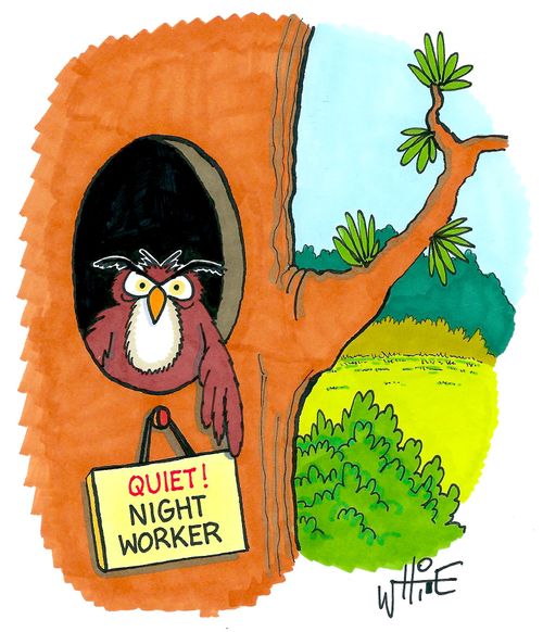 Quiet! Night worker