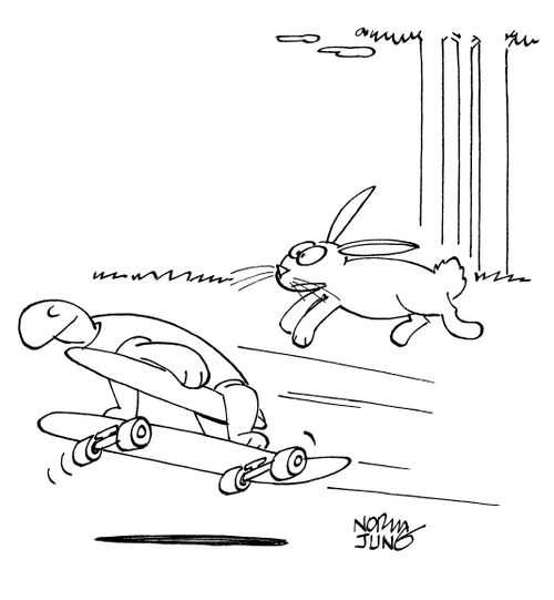 Tortoise uses skateboard in race with hare.