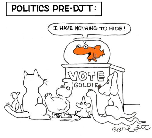 Politics pre - DJT