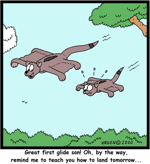 "Great first glide son! Oh, by the way, remind me to teach you how to land tomorrow..."