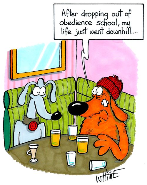 "After dropping out of obedience school, my life just went downhill..."