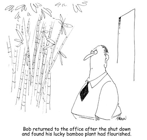"Bob returned to the office after the shut down and found his lucky bamboo plant had flourished." 