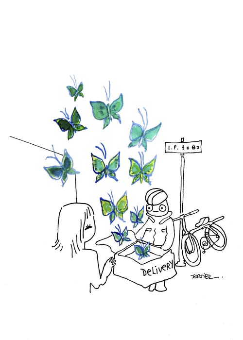 Butterfly