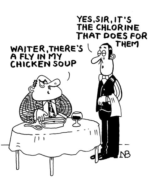 "Waiter, there's a fly in my chicken soup."