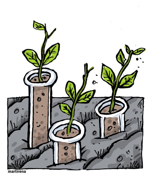 Biotechnology in agriculture