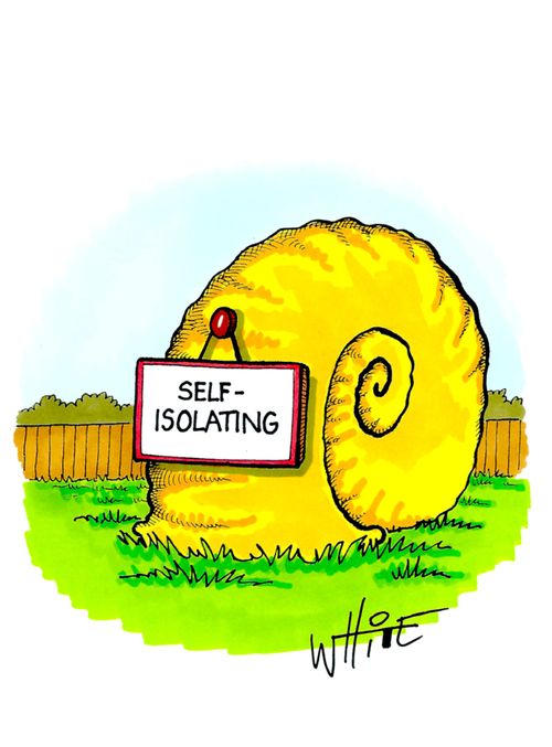 Self-isolating snail...