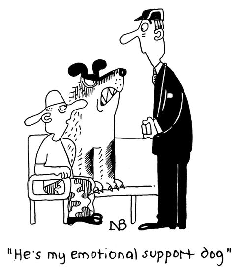 "He's my emotional support dog."