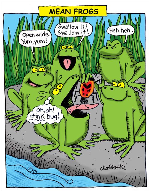 Mean Frogs
