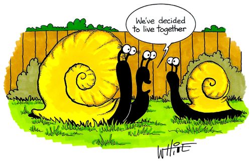 "We've decided to live together."