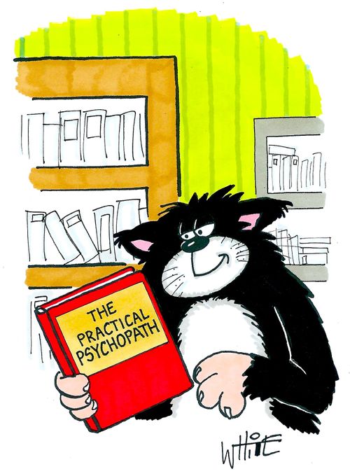 The practical psychopath