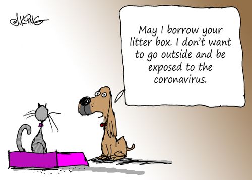"May I borrow your litter box. I don't want to go outside and be exposed to the coronavirus." 