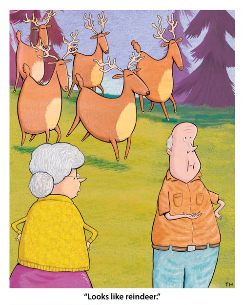 "Looks like reindeer."