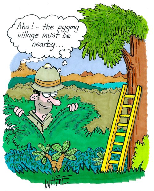 "Aha! - the pygmy village must be nearby..."