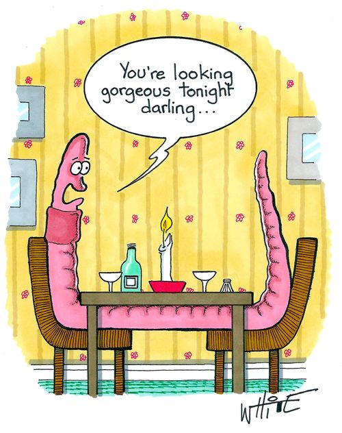 "You're looking gorgeous tonight darling..."